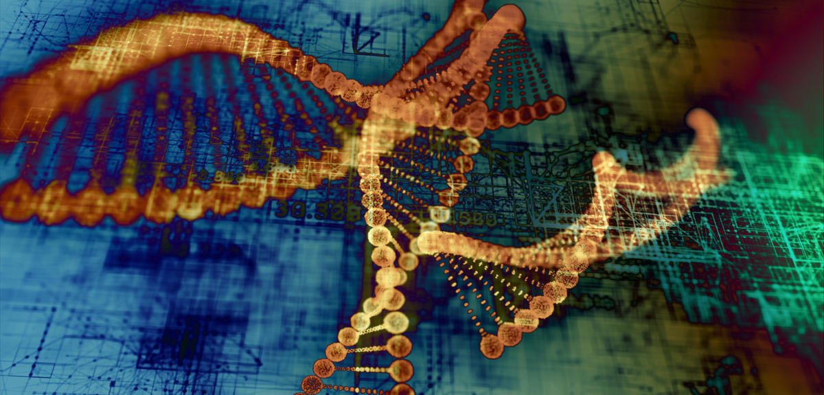 CNRS's tweet photo. Découverte d'un nouveau système de réparation de l'ADN 
https://t.co/TLmVBq7bUr https://t.co/TINej0Bqti