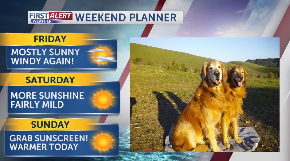 Meredith Garofalo (@keytnc3meredith) on Twitter photo 