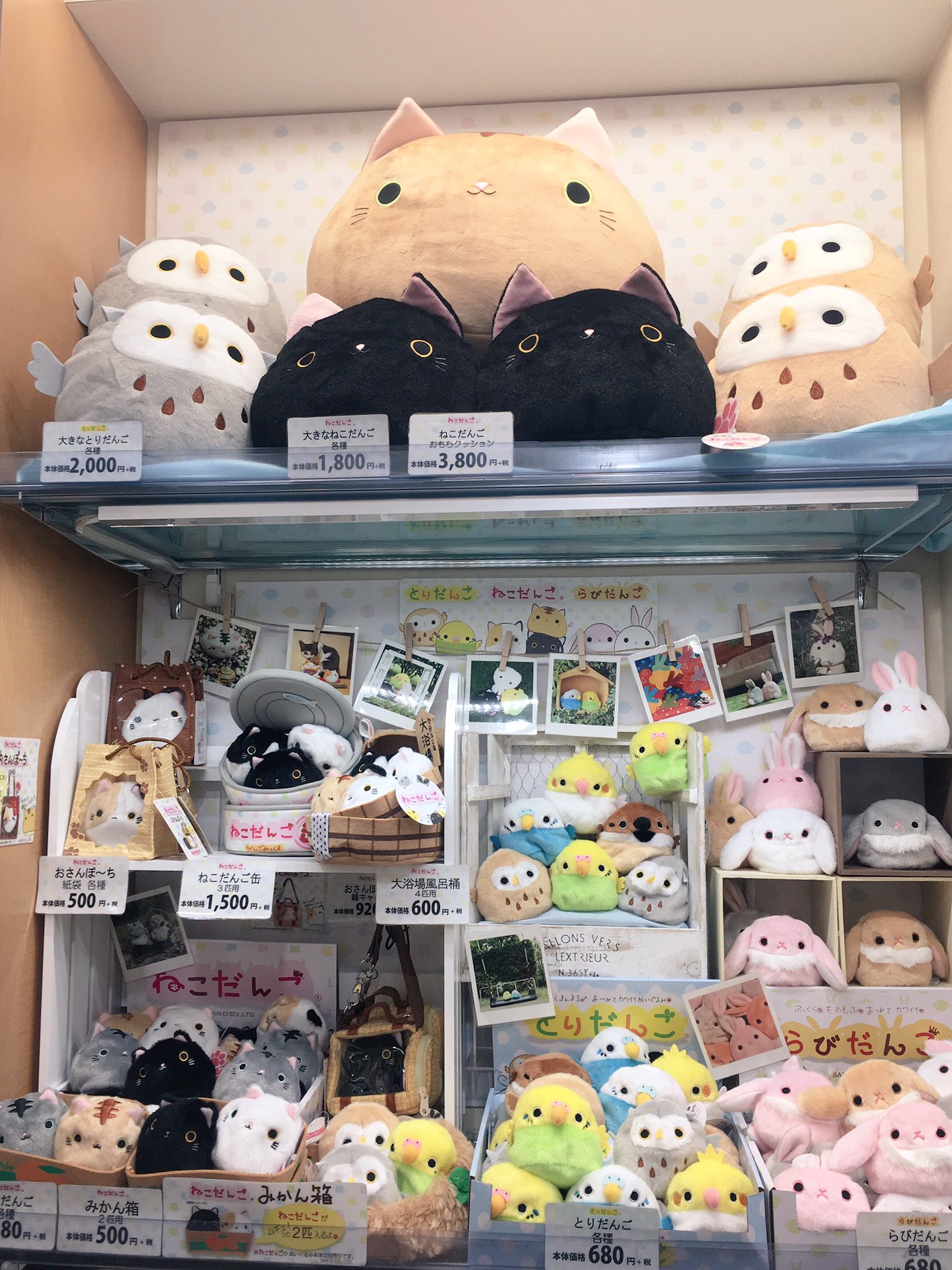 三英貿易株式会社 販売店情報 本日よりキデイランド原宿店様で ねこだんご とりだんご らびだんごのお取り扱いが拡大しました だんご関連商品をお買い上げのお客様には先着で 非売品のねこだんごステッカーをプレゼント お近くにお越しの際は