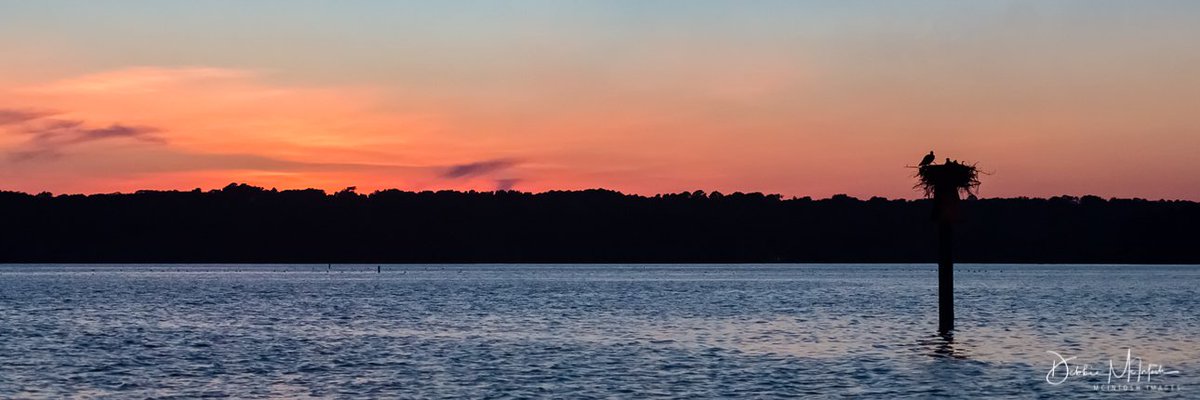 McIntoshImages's tweet image. "All Nestled In"  along St. Jerome's Creek in Dameron MD #BayLife