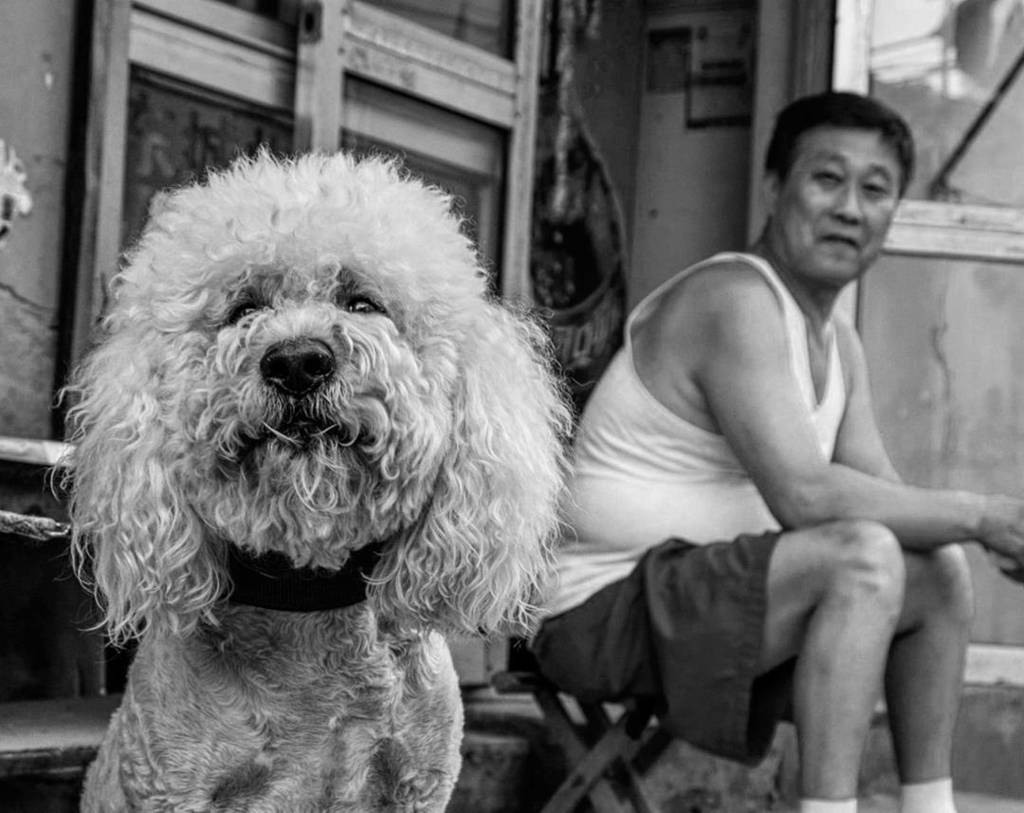 "He doesn't like foreigners," the old man says to me in a #hutong in #Beijing. 
#chinatravel 
#china
#photoblog
#lonelyplanet
#passionpassp…