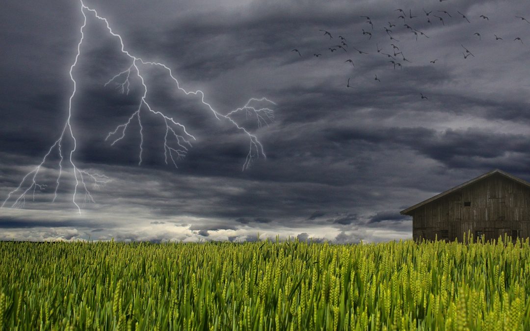 prevenfoc's tweet image. En verano hay que tener #prevención también ante la típica tormenta que llega de repente. #PrevenBlog te ayuda !! bit.ly/2rd2uNd