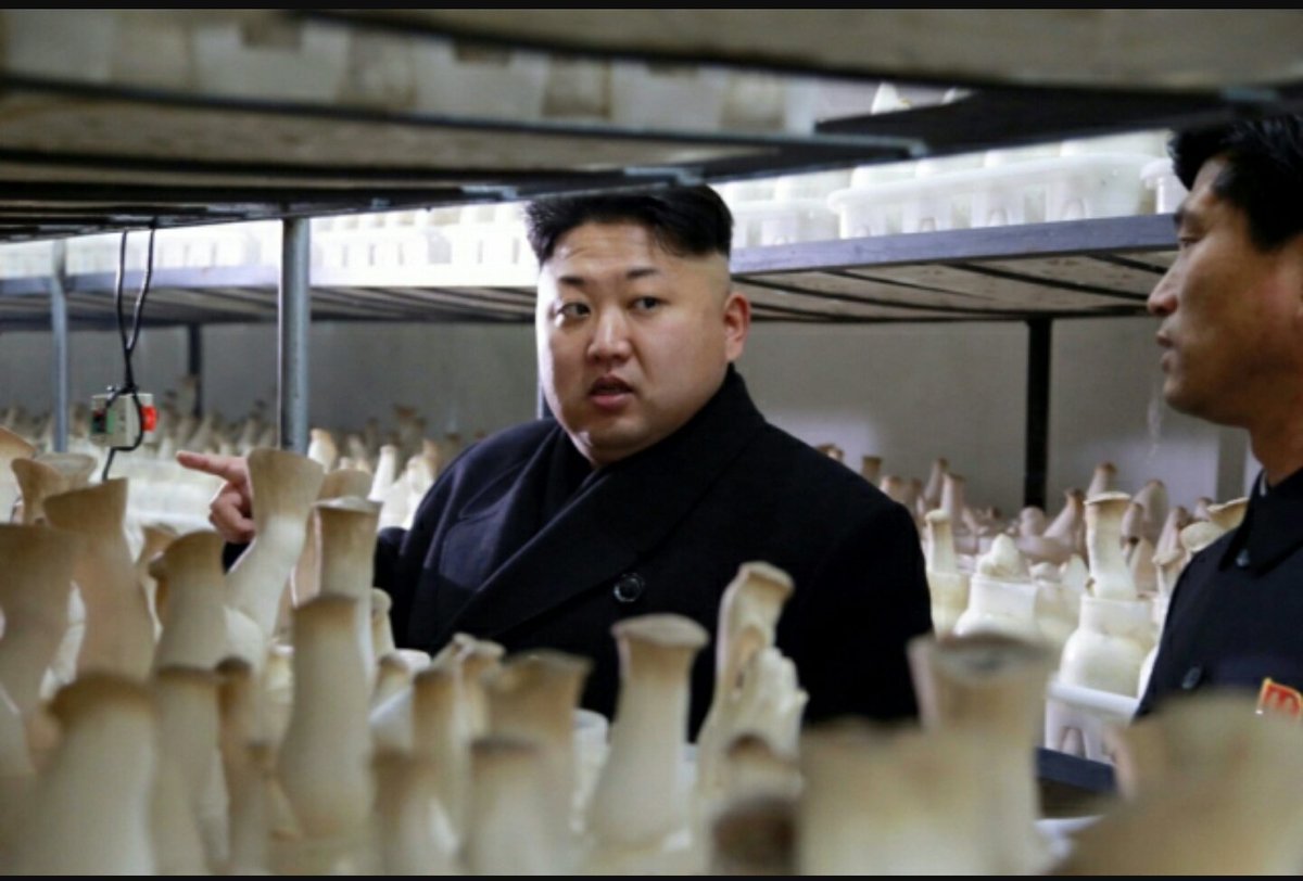 Funggiewarrior's tweet photo. Vous pouvez dire cke vous voulé sur lui mais c'est le seul dirigeant du monde avec une vision #funggie ! #manipulationmediatiqueoccidentale https://t.co/4J185j9YKu