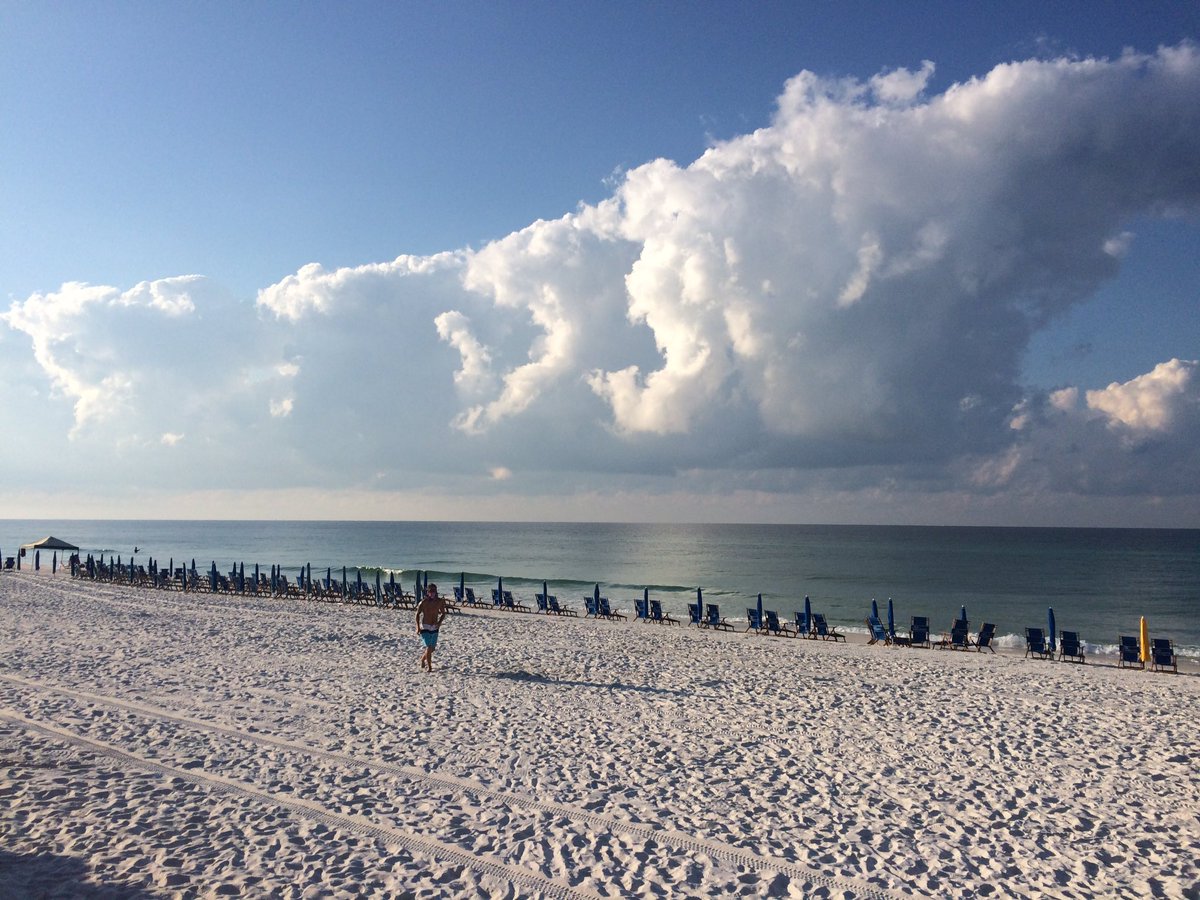 The Island FL tweet media