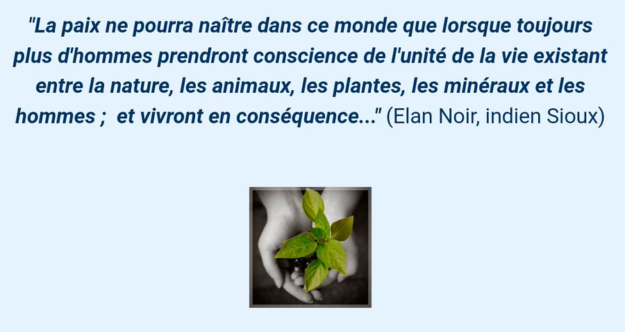 Funggie Warrior On Twitter Citation Respect Vendredilecture Awake Elannoir Https T Co 3j1hi4x3ti Twitter