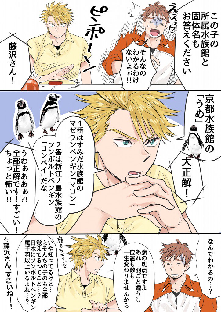 イシイ渡 連載準備中 ペンギン早押しクイズ 最もややこしいフンボルトペンギン属の見分けに チーフと藤沢さんが挑戦します 水族カンパニー 6 12発売 試し読み T Co Mekoifei9n 発売まであと３日 京都水族館 すみだ水族館 新江ノ島