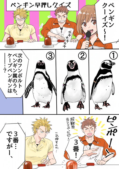 【ペンギン早押しクイズ!】
最もややこしいフンボルトペンギン属の見分けに、チーフと藤沢さんが挑戦します。
#水族カンパニー!6/12発売
試し読み→https://t.co/MeKOiFEi9n
#発売まであと3日 
#京都水族館 #すみだ水族館
#新江ノ島水族館 