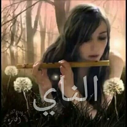 ️ إعلان إنضمام لقروب  
#رتويت_الناي🌺  
✅ بدون تاق
يشترط
✅ تفاعل
✅ النشاط
للانضمام للقروب
✅ ارسل كلمة اضافة خاص
#نتشرف_بالجميع