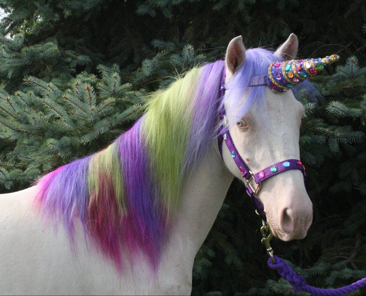 dino as animals (@dinoasanimals) / Twitter dino as animals (@dinoasanimals) / Twitter