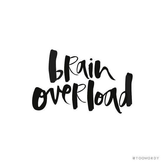 Kaylee_Gombold's tweet photo. Only 38 days until the NPTE! #dptstudent https://t.co/MJGoBTrK2J