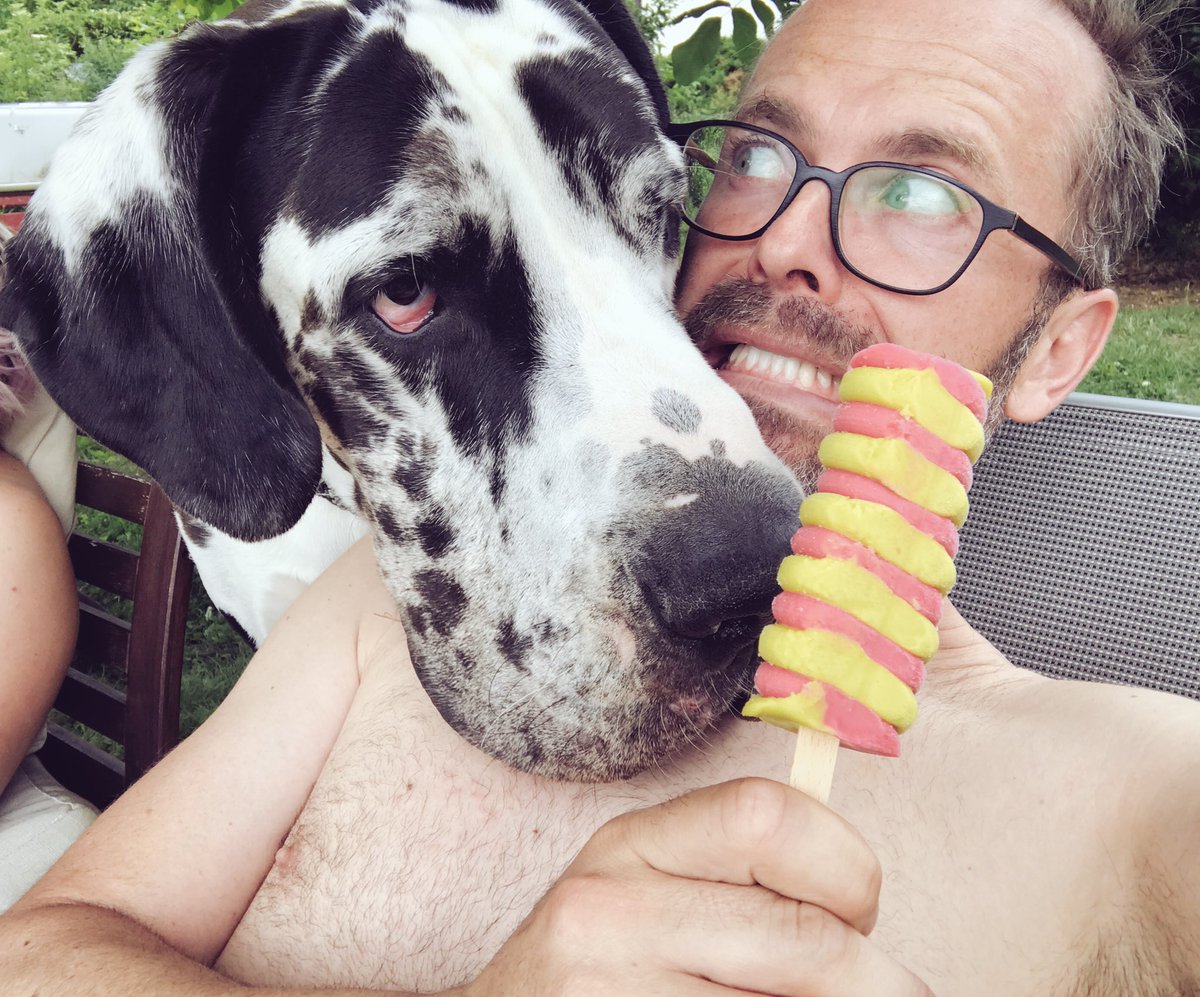 Der Mai hat die Eisheiligen, der Juni die #Eisneidischen ... #DasistmeinTwister #BubiGreatDane #ThatsmyTwister