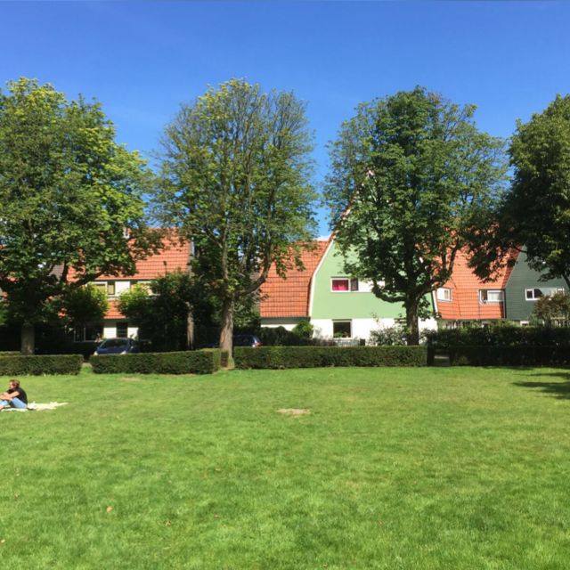 GemeenteBaarn's tweet photo. Aanstaande zondag #SilentRun voor herplant bomen Rode Dorp. Meer informatie en aanmelden kan via silentrun@ziggo.nl. https://t.co/MY2SiK81wL