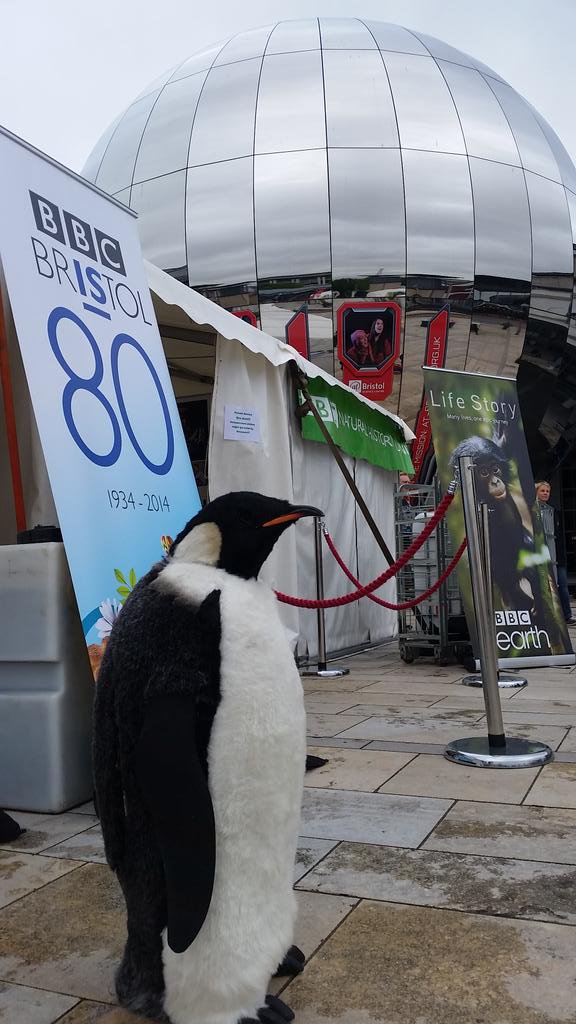 JohnDownerProd's tweet photo. Excited to announce that we will once again be at the #Bristol @FestofNature! Come & see the Spy Creatures on Saturday afternoon #FON2017 https://t.co/yo8d5xNGe8