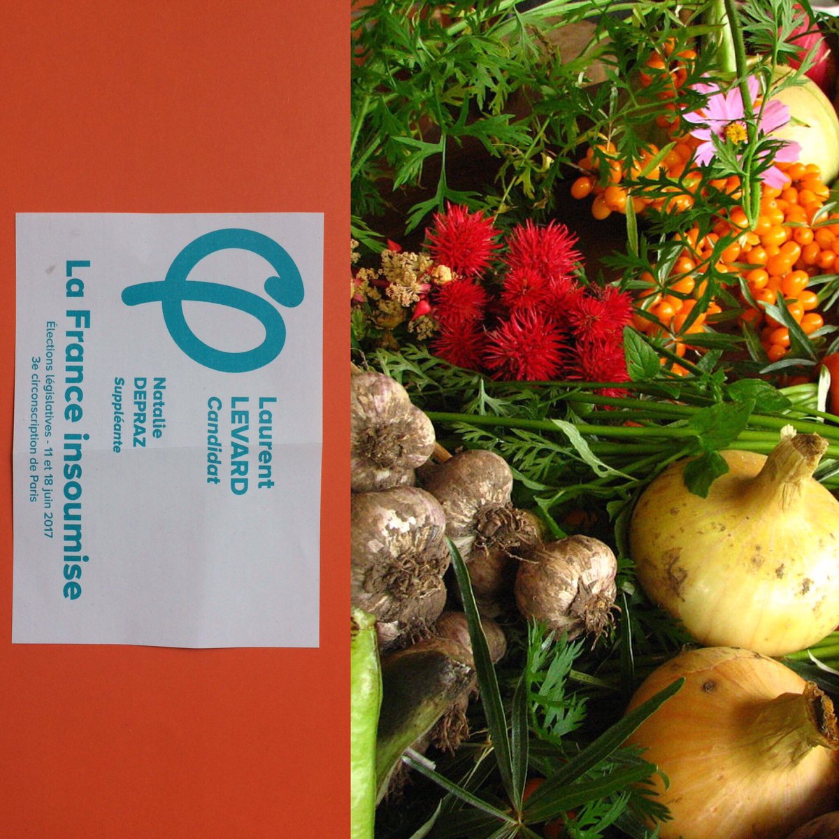 Levard2017's tweet photo. Dimanche, dans #circo7503, ce bulletin permettra de défendre l'agriculture biologique et lutter contre les lobbies des pesticides et des OGM https://t.co/zFScDiEwha