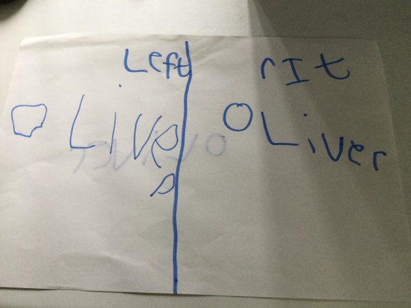 WawnePrimary's tweet photo. Today the children at Wawne Primary School attempted to write with their left hand for this weeks #challengehull #gettingleftout https://t.co/AOvbyERQ66