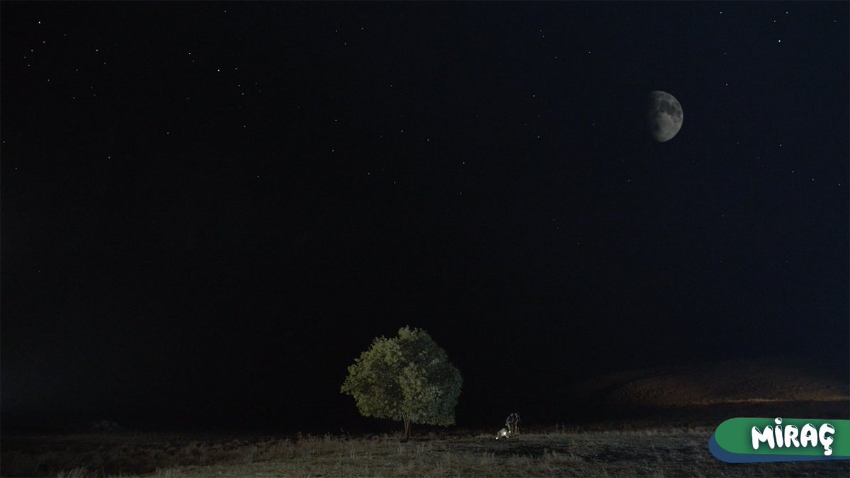 #Miraç Kinolarda!

Miraç in den Kinos!