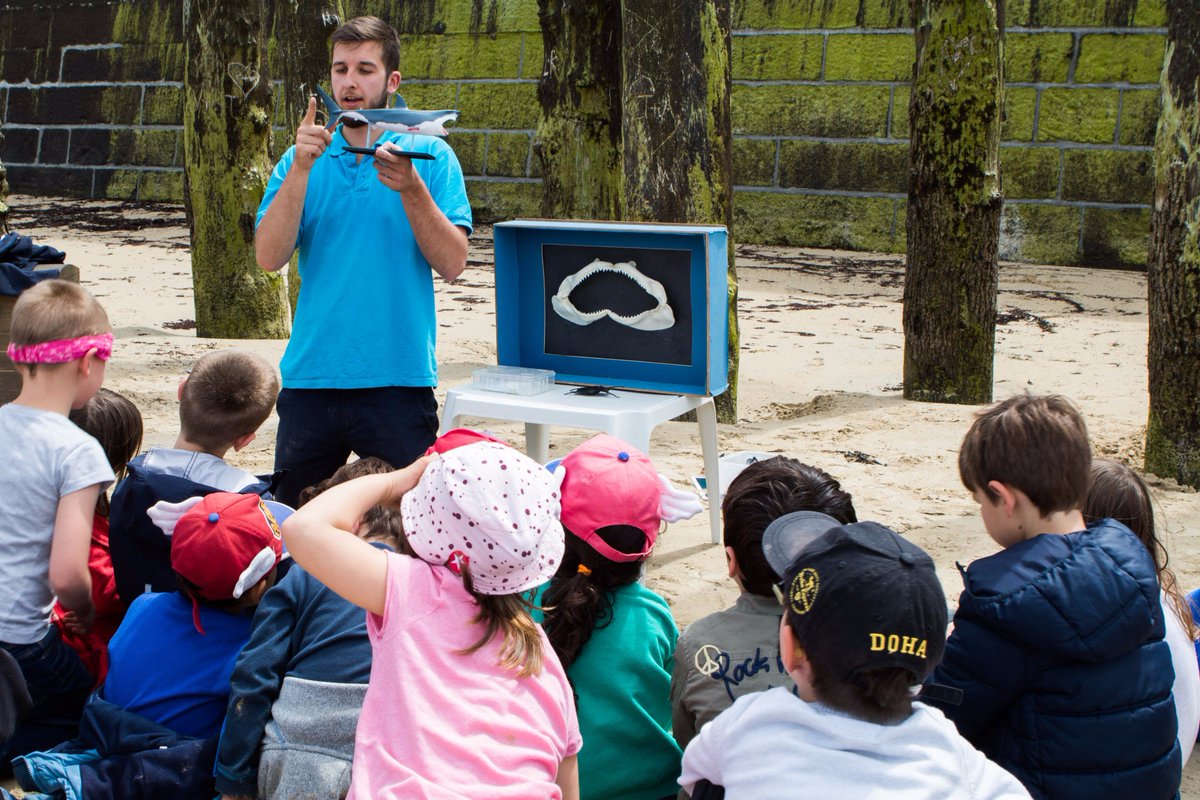 Une journée au 🔝 Merci à tous les participants de cette #JourneeMondialedelOcean. RDV l'année prochaine ! 😎🌊