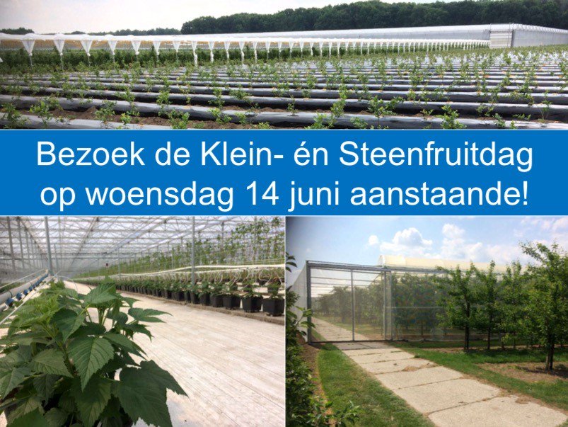 Wederom wordt er ook dit jaar weer bij ons op locatie de Landelijke Klein- en Steenfruitdag georganiseerd!