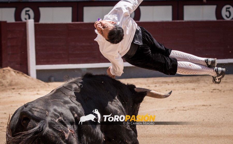 Si te gusta la emoción, los recortadores de élite de <a href="/LasVentas/">Plaza de Las Ventas</a> te asombrarán.
📸 <a href="/Carmenmerono/">Carmen Meroño🍇</a>
📆 Domingo 11, Gran final
⌚️12h
¡Emociónate!