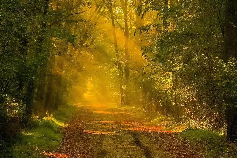 흘러가는 것은 흘러가는대로
그들만의 이유가 있으니

물건이든
사람이든 그대로 놓아주거라

스쳐가는 것은 스쳐가는대로
그들만의 까닭이 있으나

구름이든
바람이든 그대로 보내주거라

머물렀다 가는것은
그들만의 의미가 있으니

가고 오도록 편히 내버려두거라