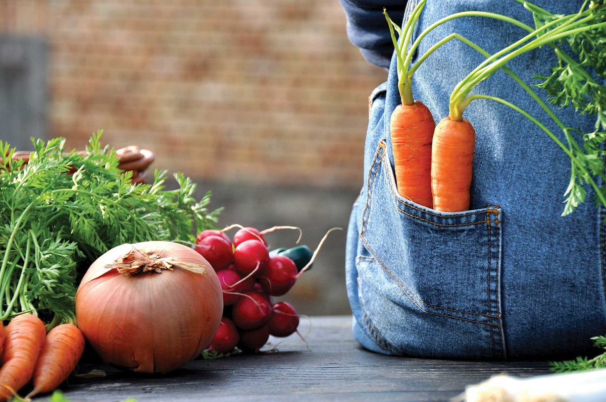 ofyt_blr's tweet photo. Want to grow your own food? Join Blore's gardeners this weekend @ St Josephs, Promenade Rd, Frazer Town, 10 &amp;11 June, 10am to 7pm https://t.co/PjCL9eqvBq