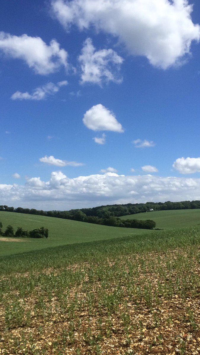 HGSDofE's tweet photo. Fabulous day in the Chilterns today https://t.co/2bgBr0ds1M