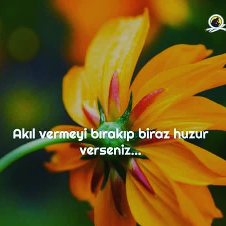 Ya size de lazım olursa . Asla geri vermem ...