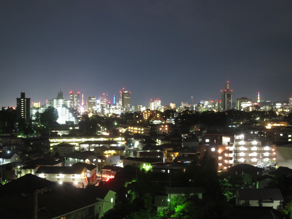 瞑想の松