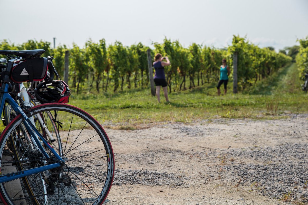 greenbeltca's tweet photo. With sunnier weather ahead, plan an #ONGreenbelt hiking, cycling, or culinary adventure! https://t.co/GRUqVCHBY4 #DiscoverON #getoutside https://t.co/rHdZeosShS