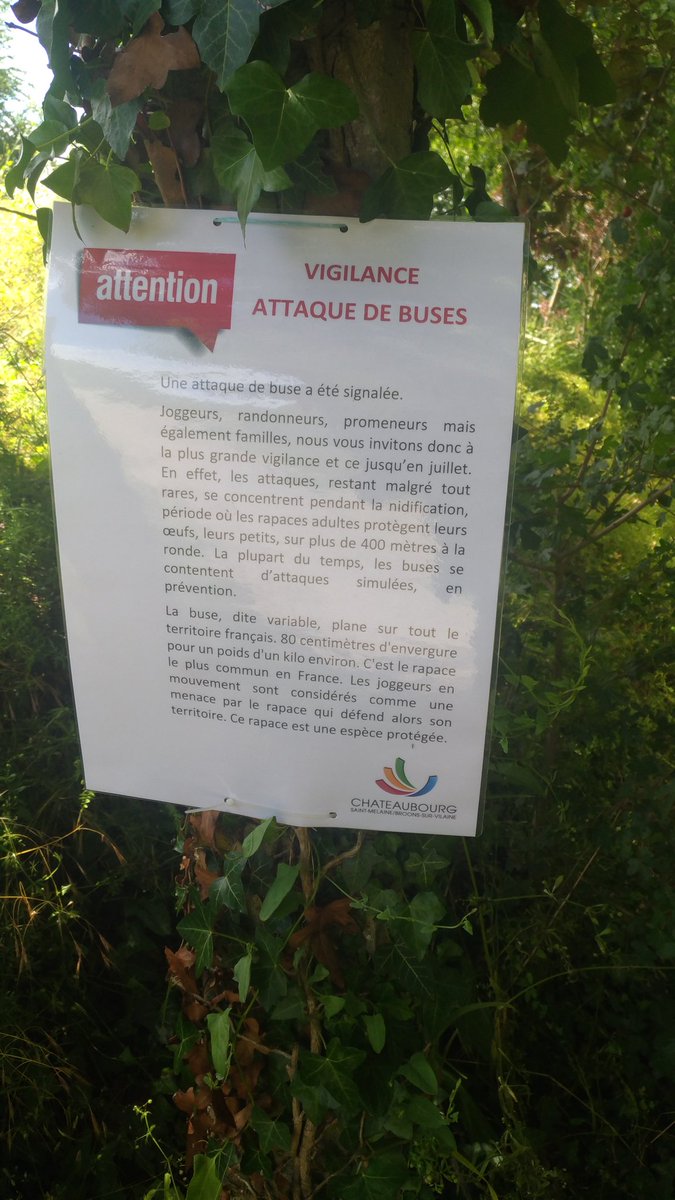 RunnerLife35's tweet photo. Faites attention amis runners, randonneur,... Les buses sont de retour et elles attaquent... https://t.co/QxPFsEOAjB