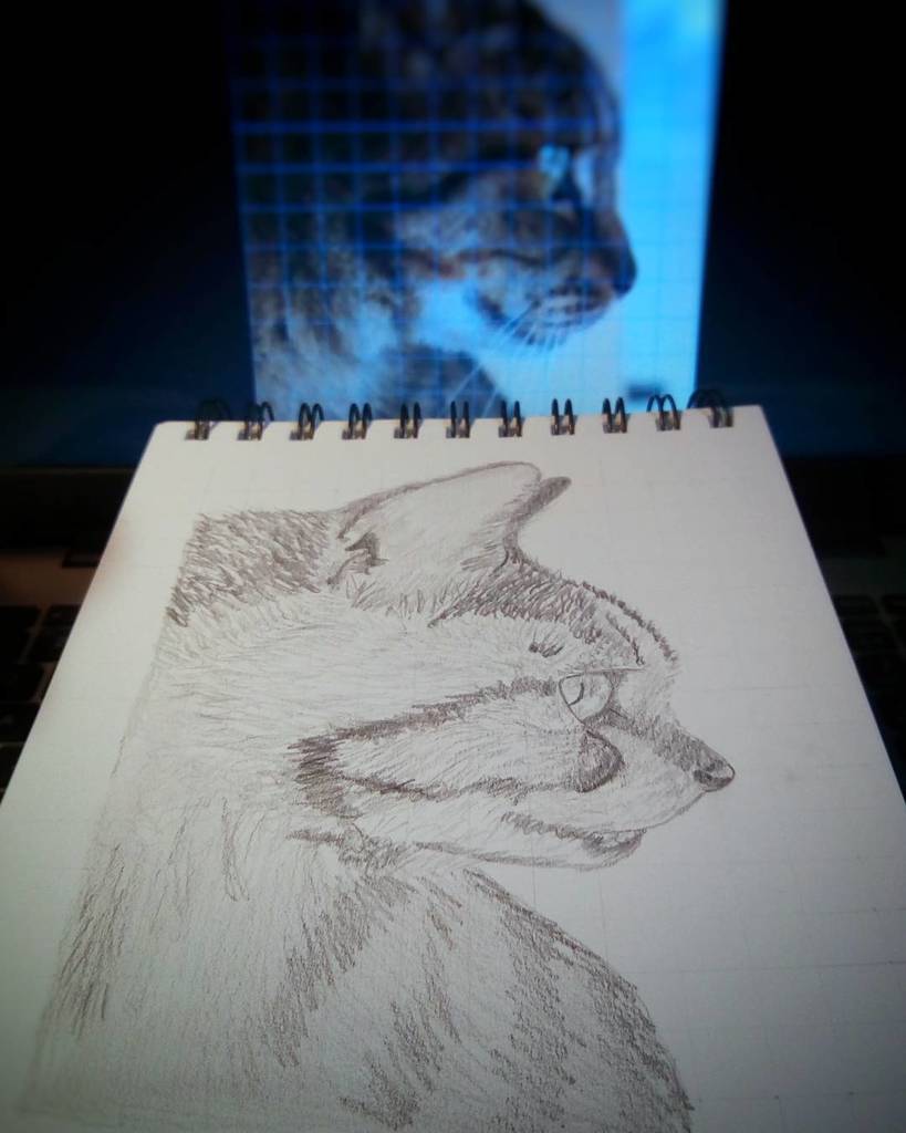 PhairArt's tweet photo. #30daysofartchallenge 21/30 its a kitty cat :) I love drawing fur #sketch #sketchbook #drawing #cat # kitty #petpo… https://t.co/sOyyguXpNV https://t.co/w8T4RugAkS
