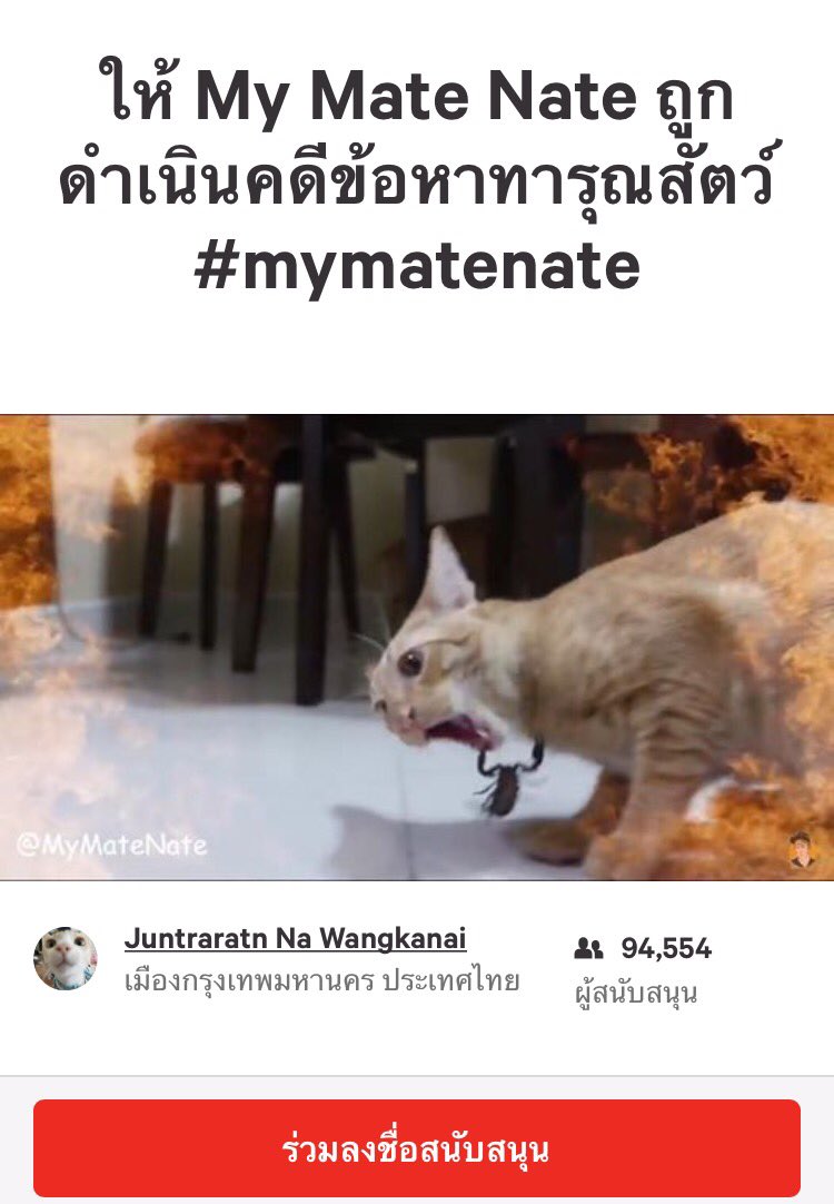 NanThaiFanGirl's tweet photo. ร่วมลงชื่อ เก้าหมื่นกว่าคนแล้ว :)
#totallyuncool #MyMateNate https://t.co/xh5Zd0ZzwX