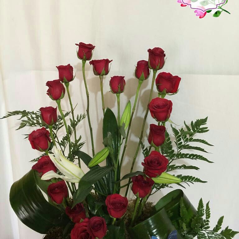 IPetalo's tweet photo. Buscas arreglos únicos y diferentes para regalar a tus seres queridos. Nosotros tenemos lo que deseas y si no lo elaboramos a tu gusto https://t.co/r0T5SXPzOR