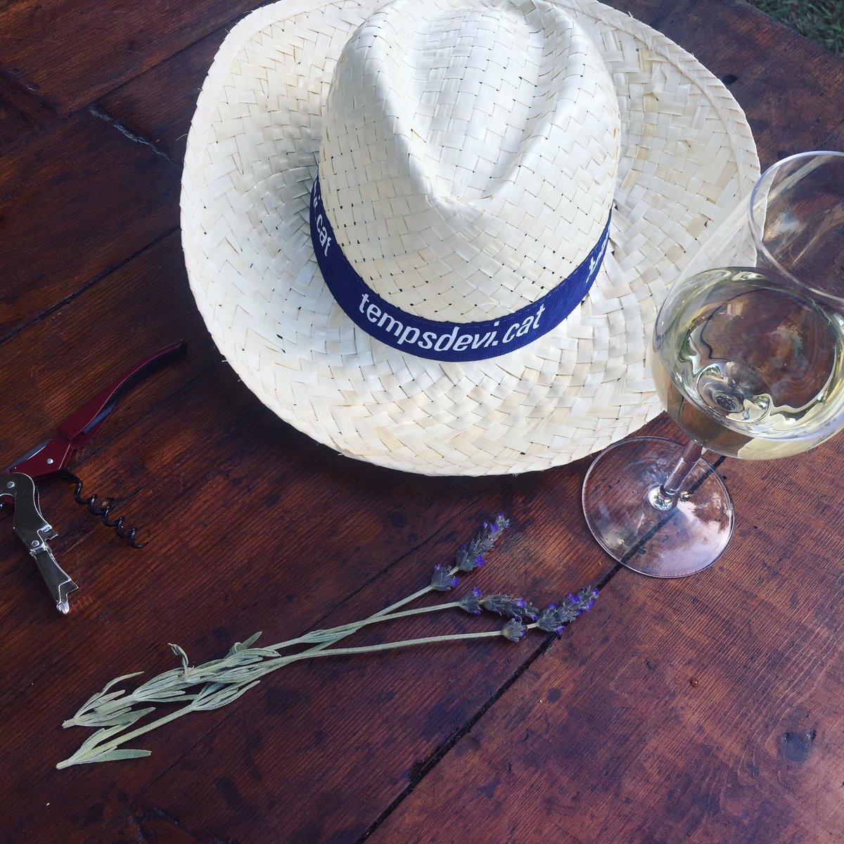TempsdeVi's tweet photo. Tic-tac! En menys de dues hores obrim #tempsdevi 2017 🍷🎶🤗t'hi esperem #winelover! #vilanovailageltrú  #vins #concerts #zonainfantil #enjoy https://t.co/3lJnu1bGcr
