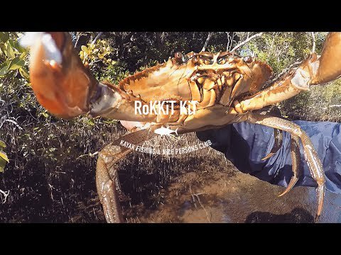 SUPCentralNet's tweet photo. #SUP Mud Crabs from the Stand Up Paddle Board - https://t.co/UzsYEVcHCl #RT #Retweet https://t.co/jffLN5WNpx