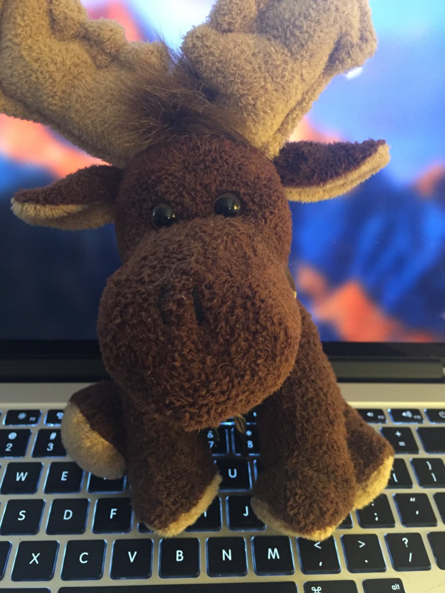 madmoosestudios's tweet photo. The Moose is in the studio. Sometimes you have to laugh at the things we do voices for. #friday #voiceover #midwestguy #madmoosemedia https://t.co/rR29MCxW0G