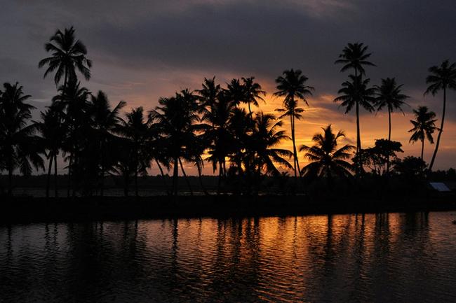 ManjishtaResort's tweet photo. Alappuzha—popularly referred to as the Venice of the East—is one of the most romantic getaways in the country. https://t.co/hnXFF2ZU3b