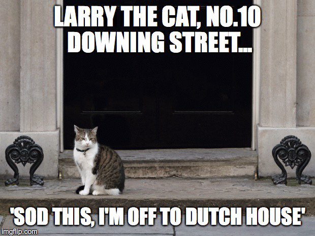 DHFlowersLtd's tweet photo. #dutchhouseflowers followers... SO THE COUNTRY IS DIVIDED... BUT COME TO DUTCH HOUSE AND LET'S GET TO WORK! https://t.co/NW6fnNS5lx