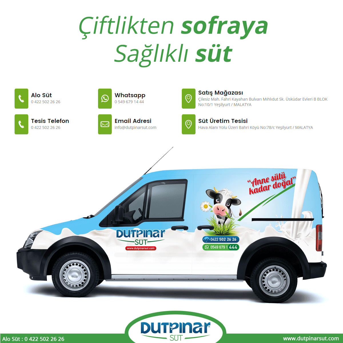 Çiftliğimizde, günlük olarak ürettiğimiz ve servisini sağladığımız Dutpınar Süt, beğeni topladı. #malatya #süt #yoğurt #peynir #doğalsüt