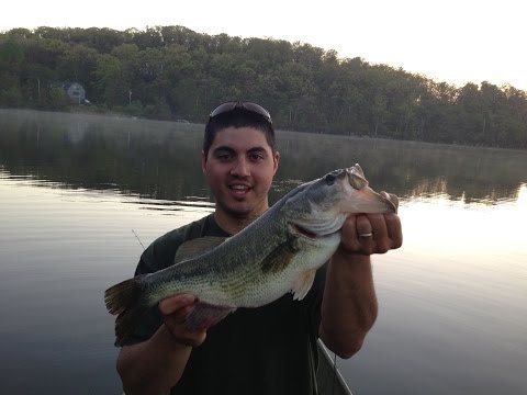 Fishing HQ tweet media