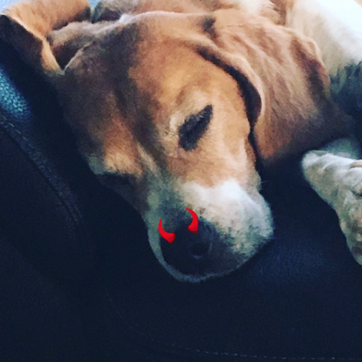 En zo denkt ons Fientje erover #estbel