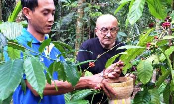 Kopi Kebumen Terpilih Ikuti Program IBT Kemenristekdikti - Kedaulatan Rakyat dlvr.it/PL4sBT - #kebumensatu
