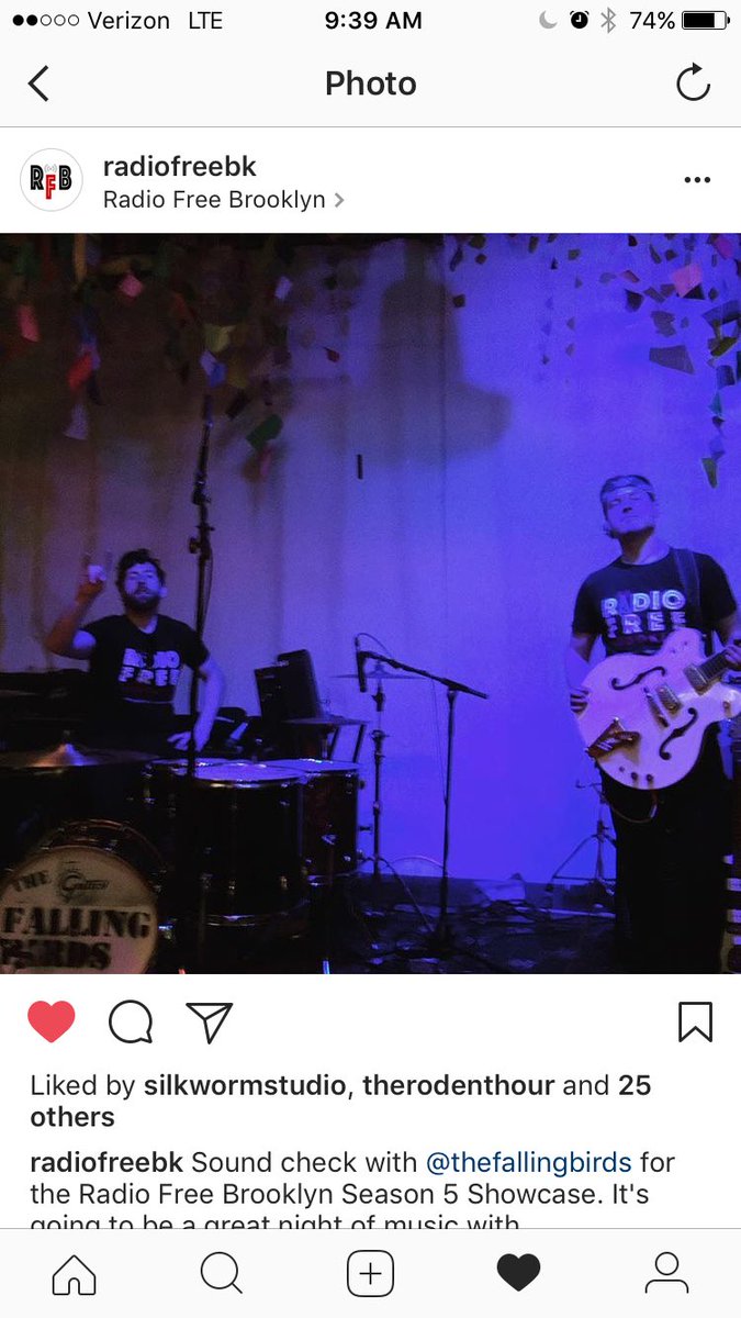 The Falling Birds tweet media