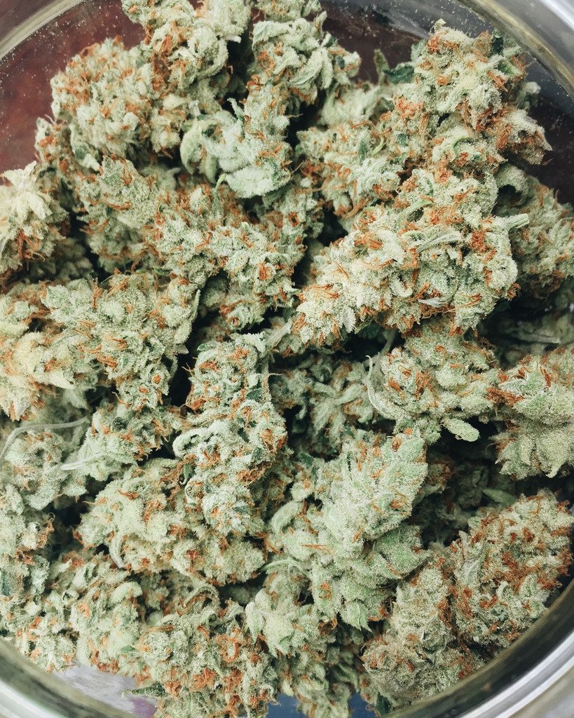 DankLounge tweet picture