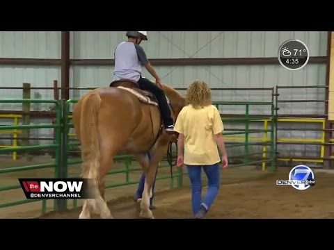 #horses CSU Equine Center providing horse therapy to inner-city kids - horsescentral.net/csu-equine-cen… #RT #Retweet