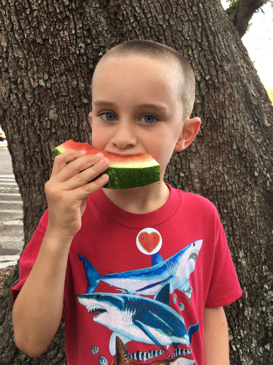 pascoschools's tweet photo. Everyone is having a great day at the @PascoNutrition Summer Lunch Kick Off Event at Zephyr Park. https://t.co/CIsZEr7JV3