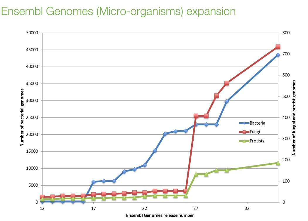 <a href="/emblebi/">EMBL-EBI</a> Micro-organisms team archiving genomes in <a href="/ensembl/">Ensembl</a> #InternationalArchivesDay #ScienceIsGlobal  🇮🇳🇱🇰🇵🇹🇬🇧