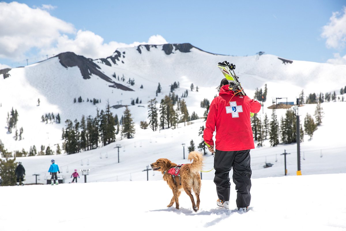 palisadestahoe's tweet photo. Still plenty of snow on the upper mountain! We're open for skiing Saturday &amp; Sunday 10am-2pm at the #springskiingcapital. https://t.co/1yw5imEMQU