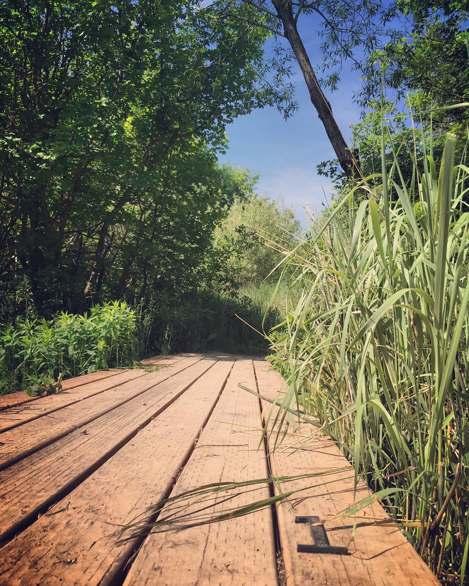 barefootliv21's tweet photo. Pocatello, thank you for the little bit of peace you allow us all to take advantage of 😍🌿👣 #CityCreek #StressBeGone #NatureHelp https://t.co/oelTFFZByw