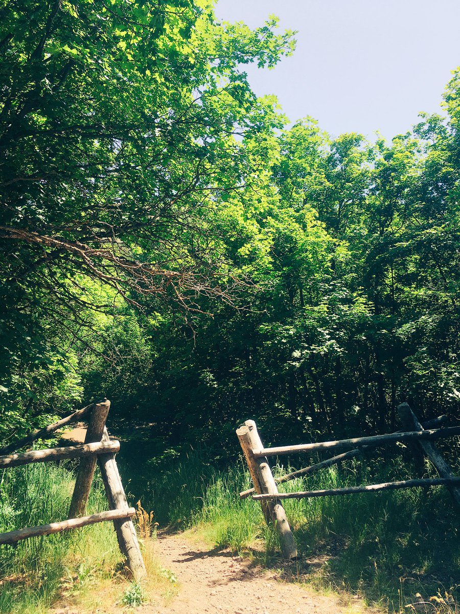 barefootliv21's tweet photo. Pocatello, thank you for the little bit of peace you allow us all to take advantage of 😍🌿👣 #CityCreek #StressBeGone #NatureHelp https://t.co/oelTFFZByw